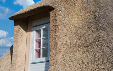Broad thatch roof disadvantages